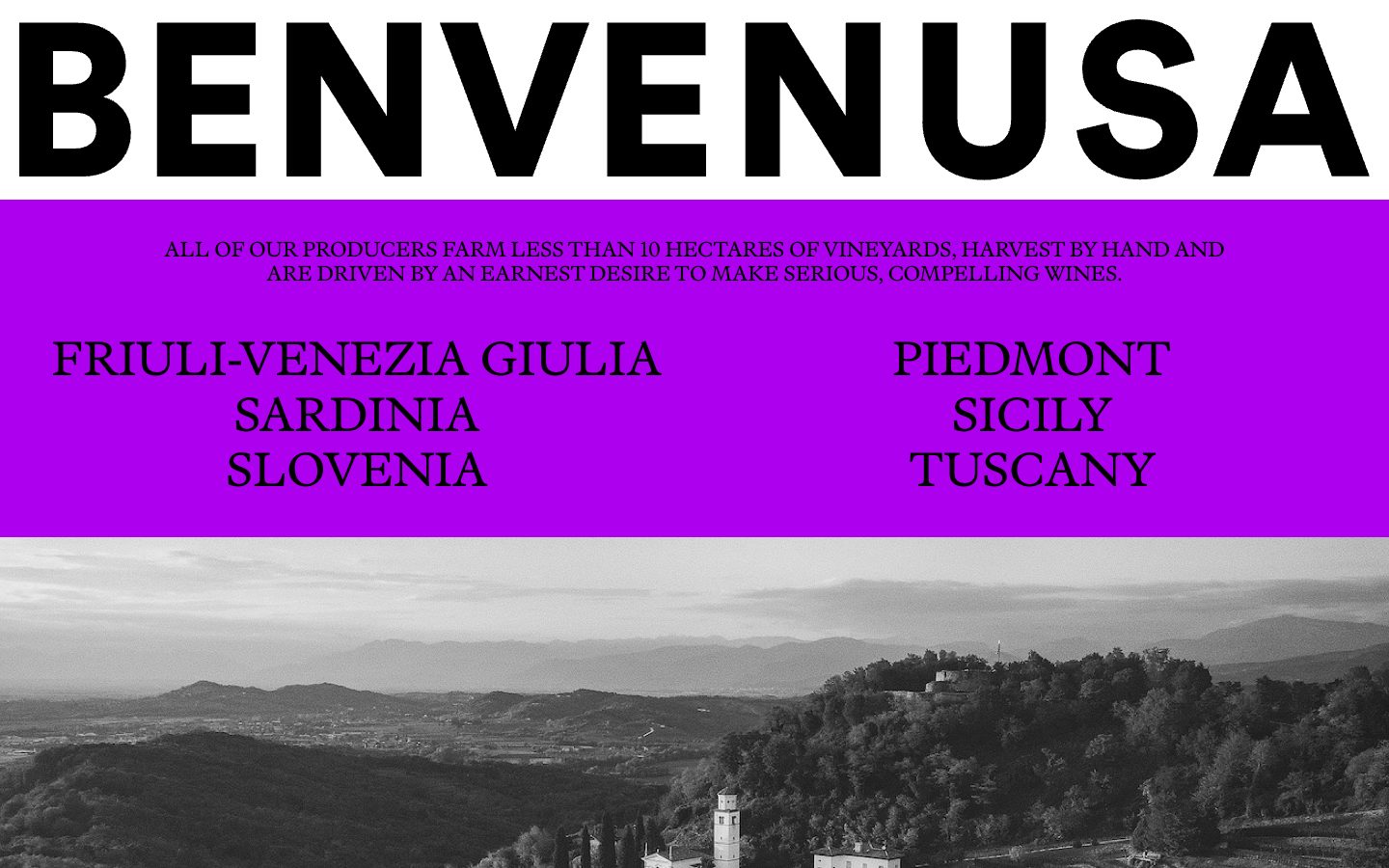 Benvenusa Italian Wines homepage (desktop)