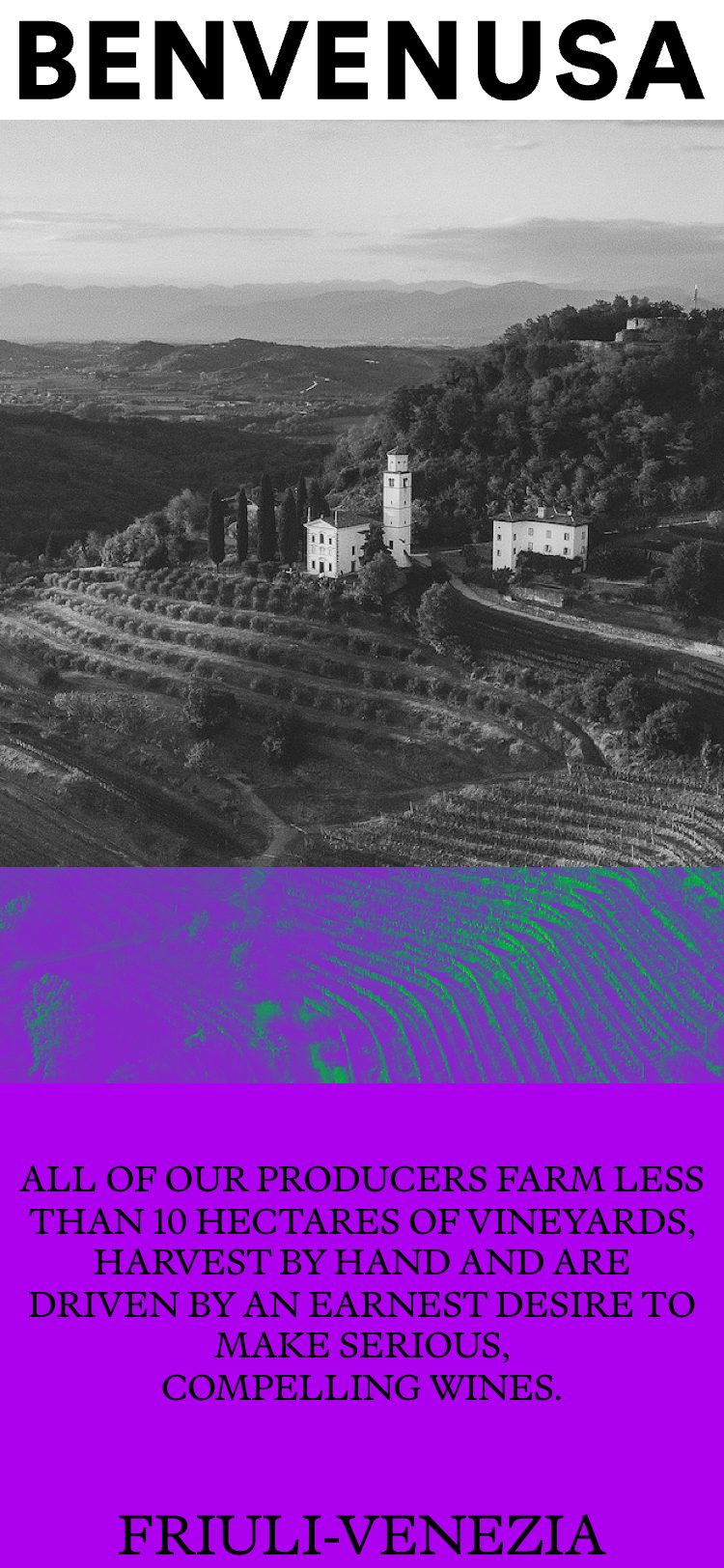 Benvenusa Italian Wines homepage (mobile)
